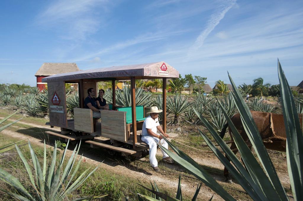 Hacienda Viva Sotuta De Peon Hotel Tecoh Bagian luar foto