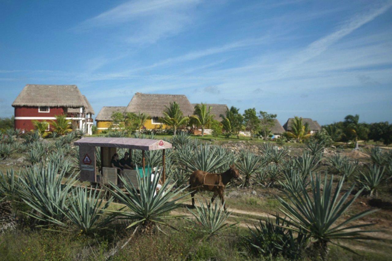 Hacienda Viva Sotuta De Peon Hotel Tecoh Bagian luar foto